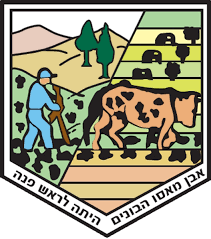 Roş Pina Yerel Konseyi